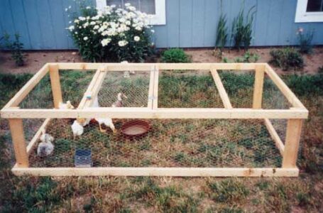 An Easy and Affordable Poultry Pen Image